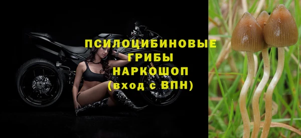 jwh Богородск
