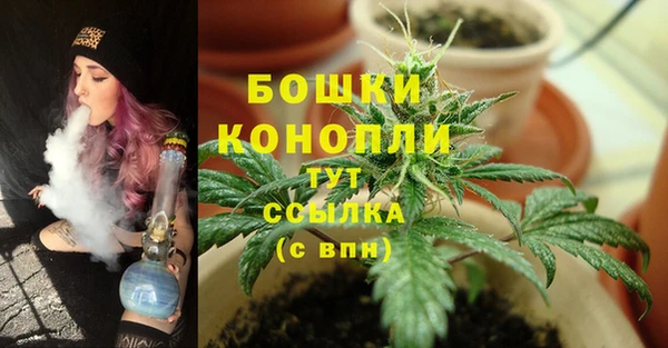 MESCALINE Богородицк